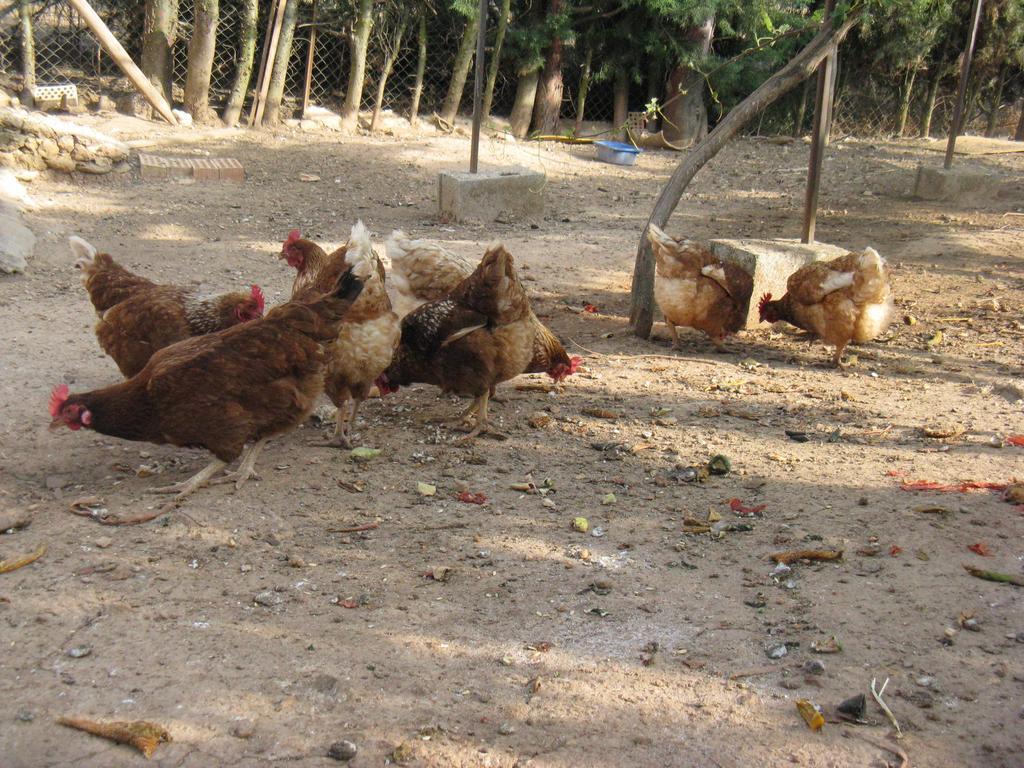 Отель Finca Los Pinos Villanueva del Rosario Экстерьер фото